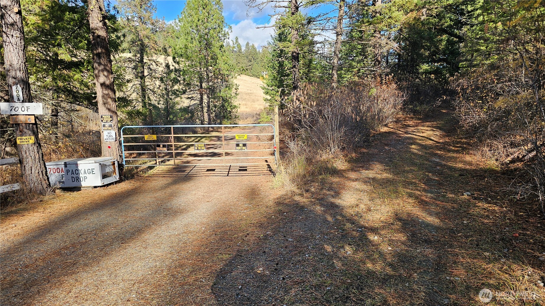700 L Dry Gulch Road Property Photo 4