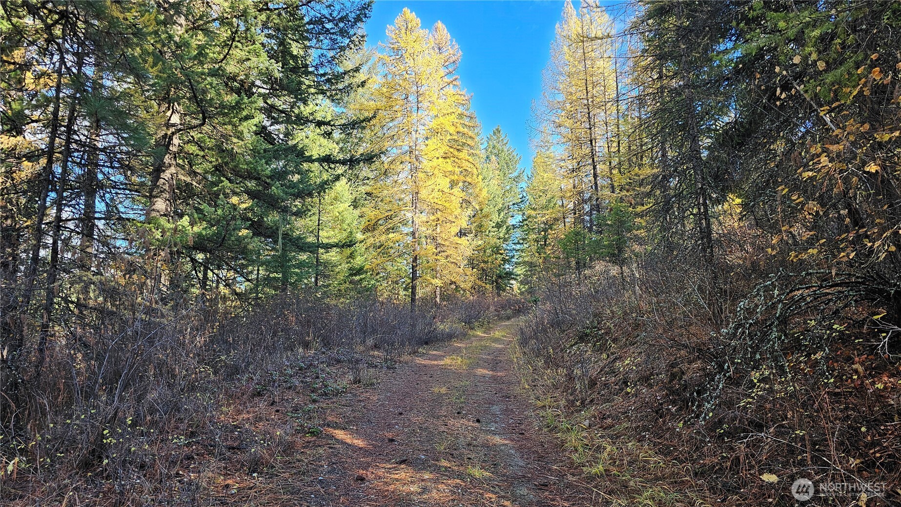 700 L Dry Gulch Road Property Photo 5