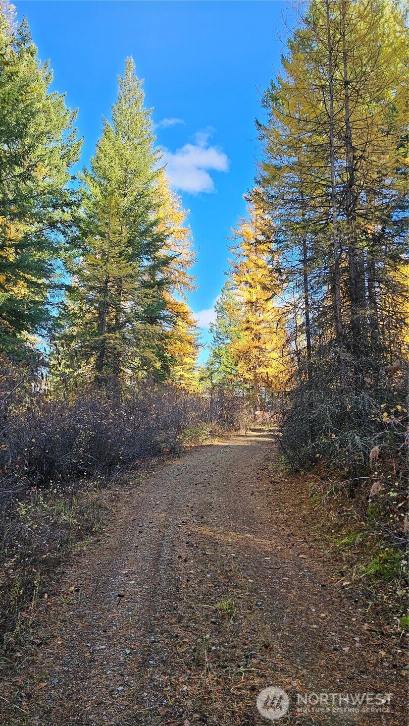 700 L Dry Gulch Road Property Photo 6