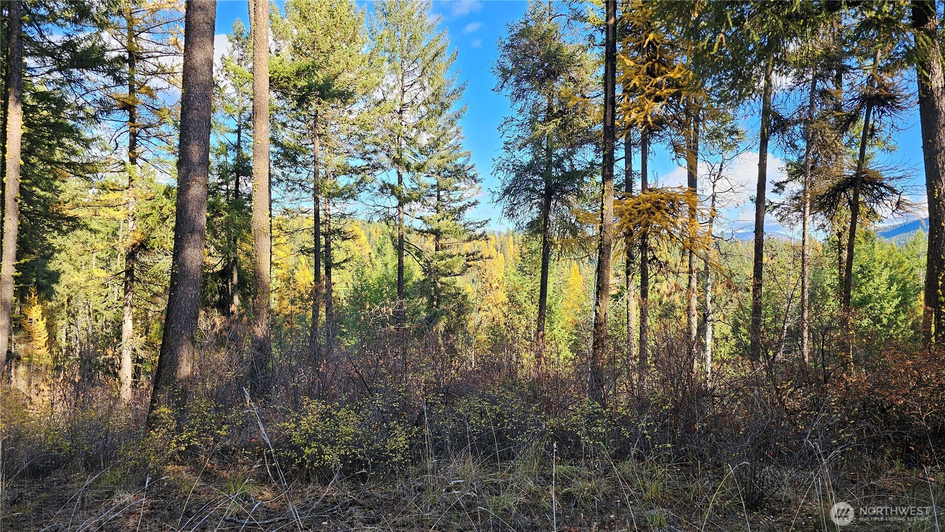 700 L Dry Gulch Road Property Photo 7