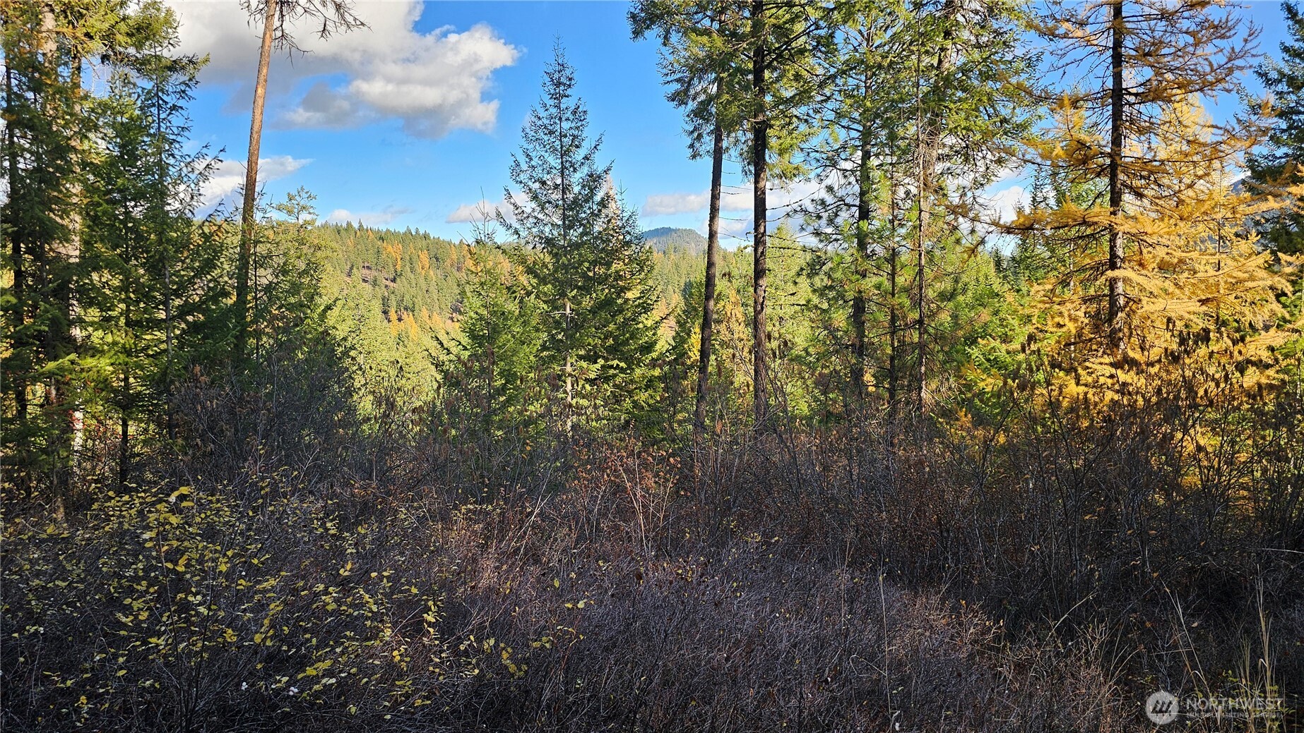 700 L Dry Gulch Road Property Photo 8