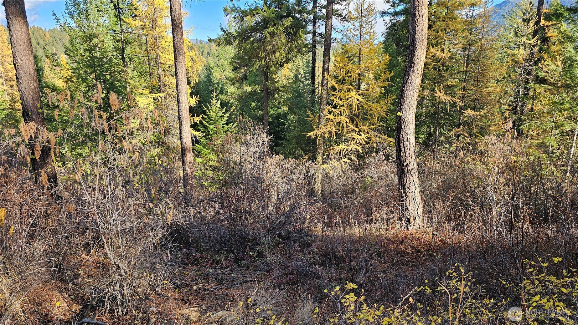 700 L Dry Gulch Road Property Photo 9