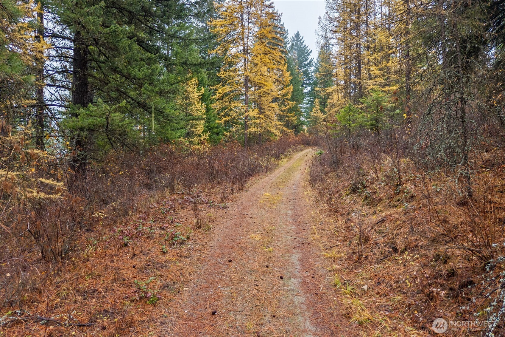 700 L Dry Gulch Road Property Photo 12
