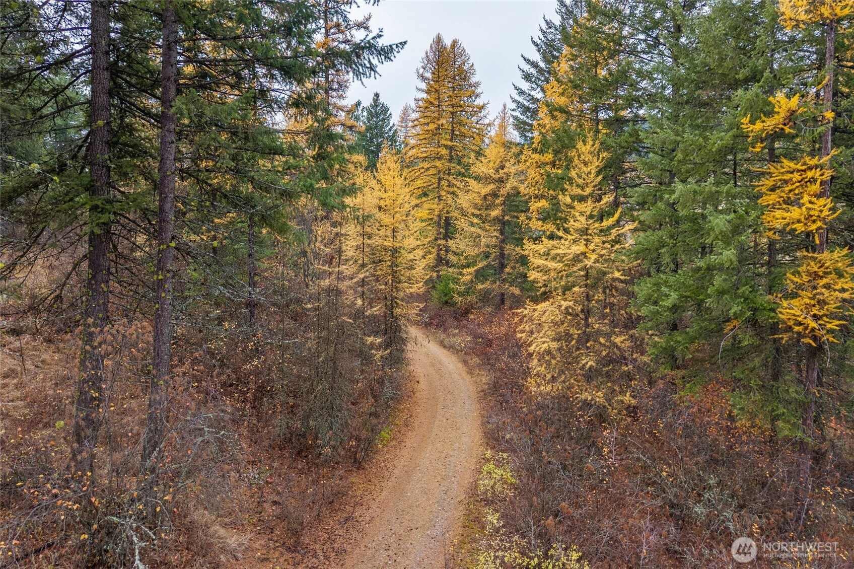 700 L Dry Gulch Road Property Photo 14