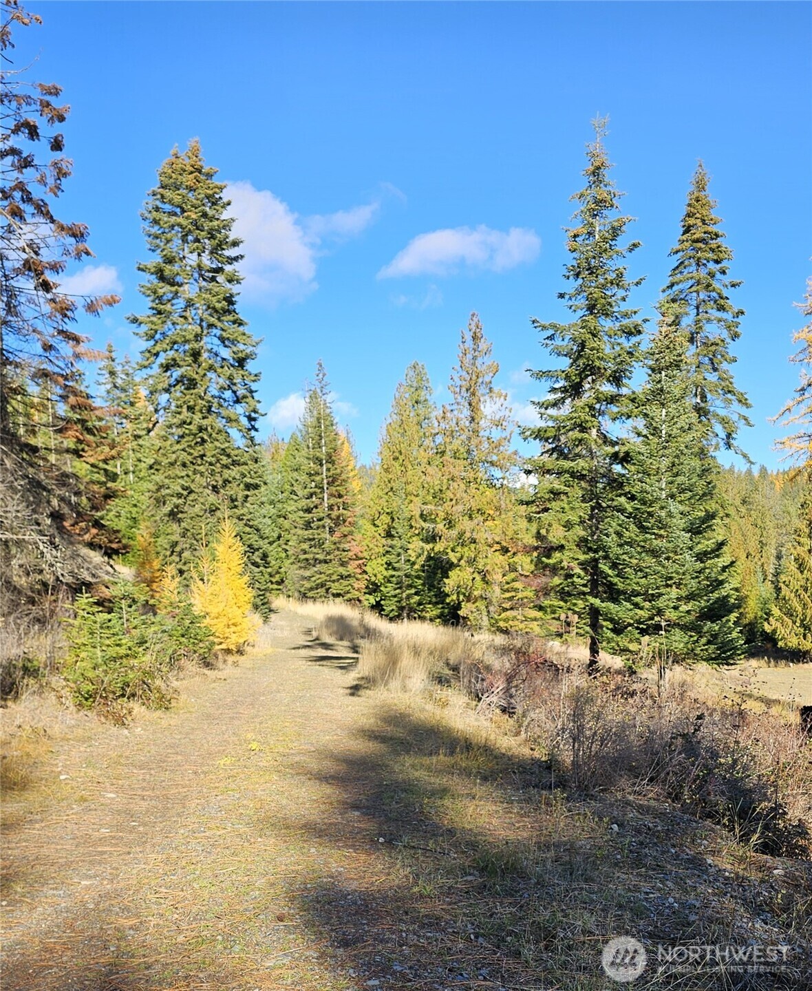 717 B Finley Gulch Road Property Photo 2