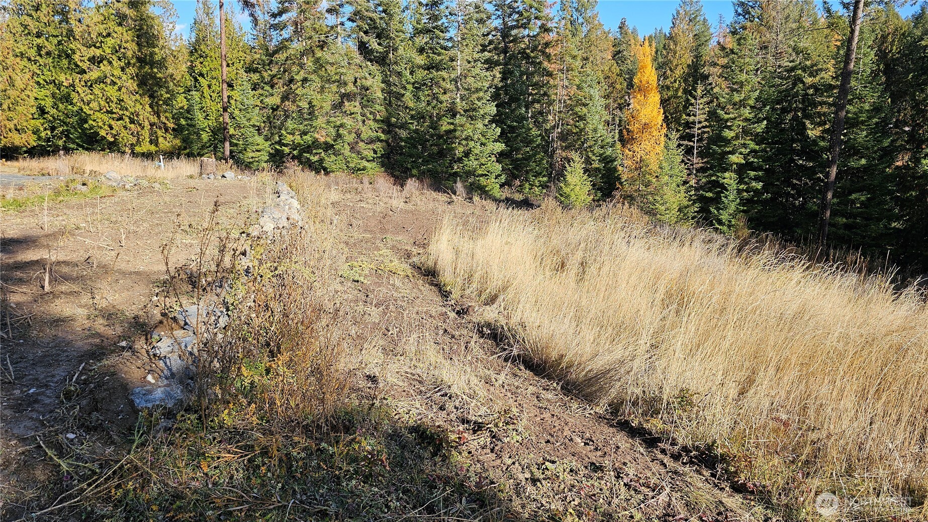717 B Finley Gulch Road Property Photo 3