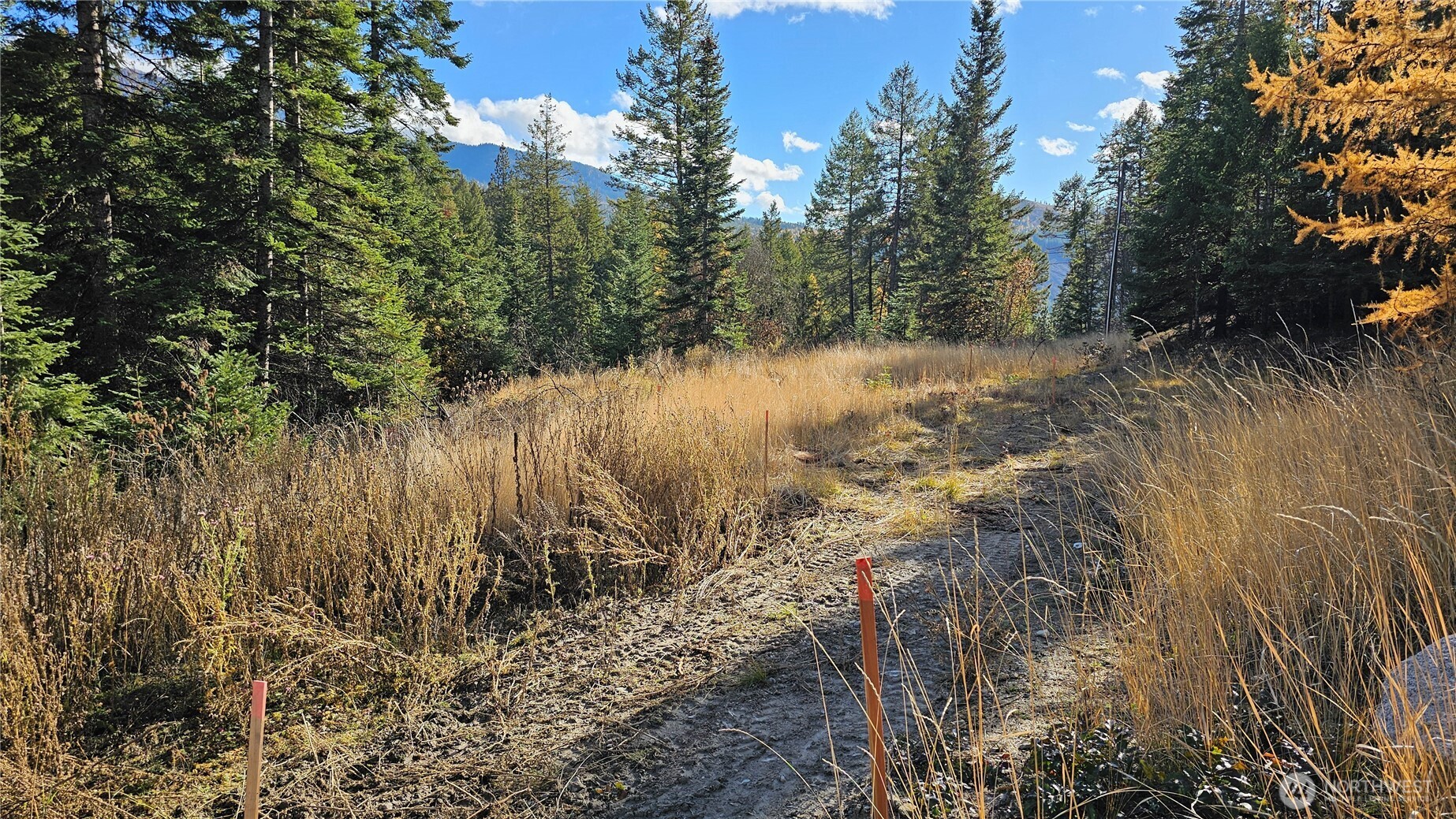 717 B Finley Gulch Road Property Photo 4