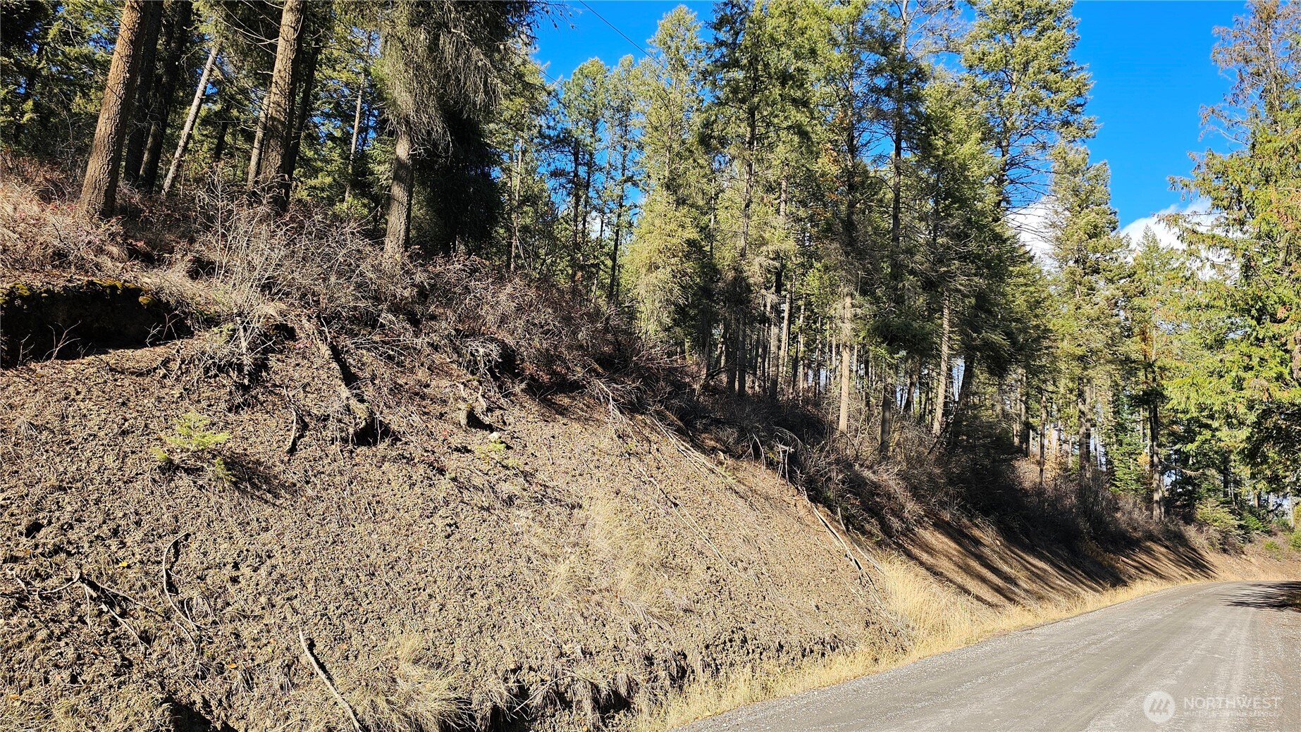 717 B Finley Gulch Road Property Photo 5