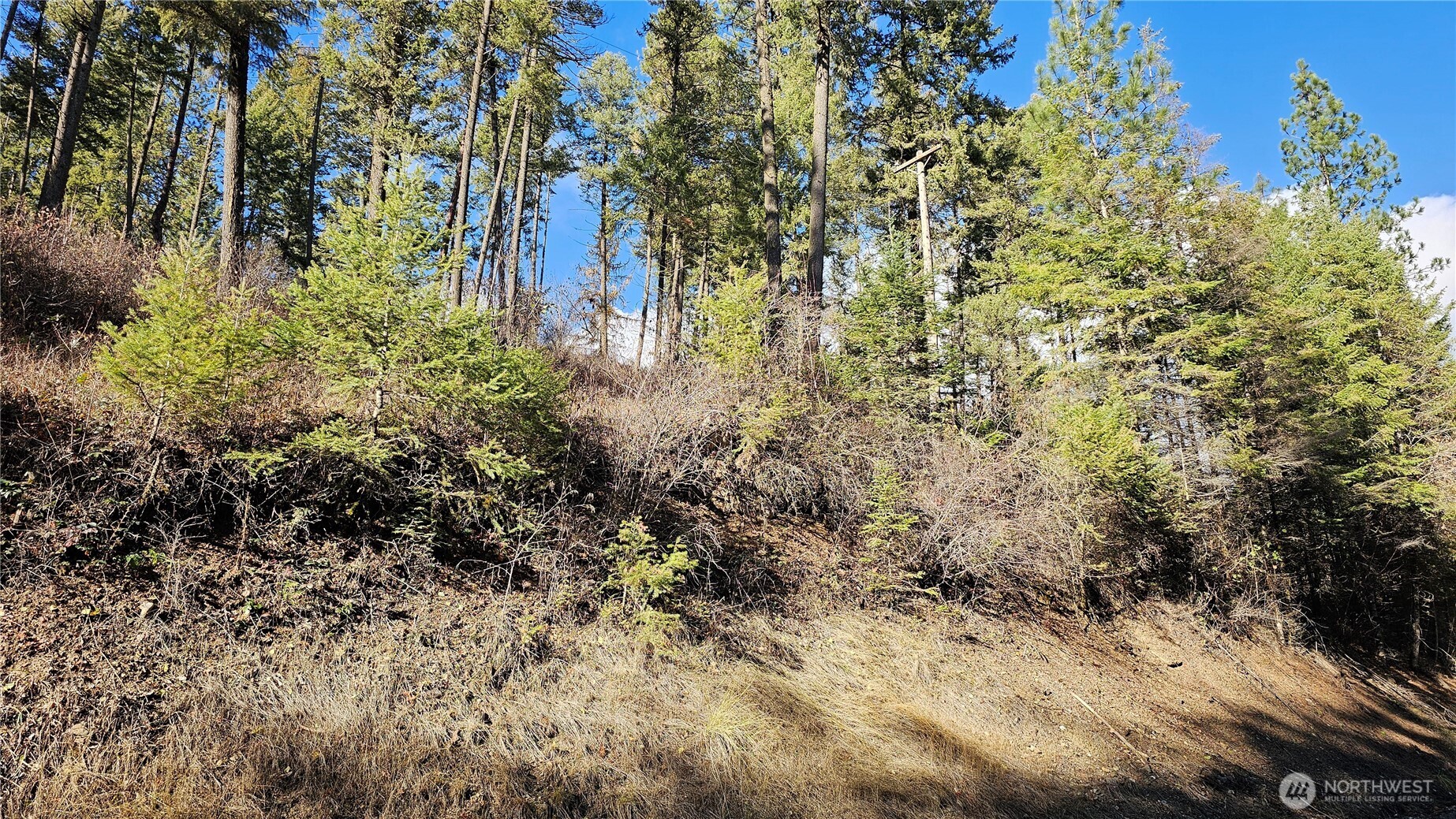 717 B Finley Gulch Road Property Photo 6