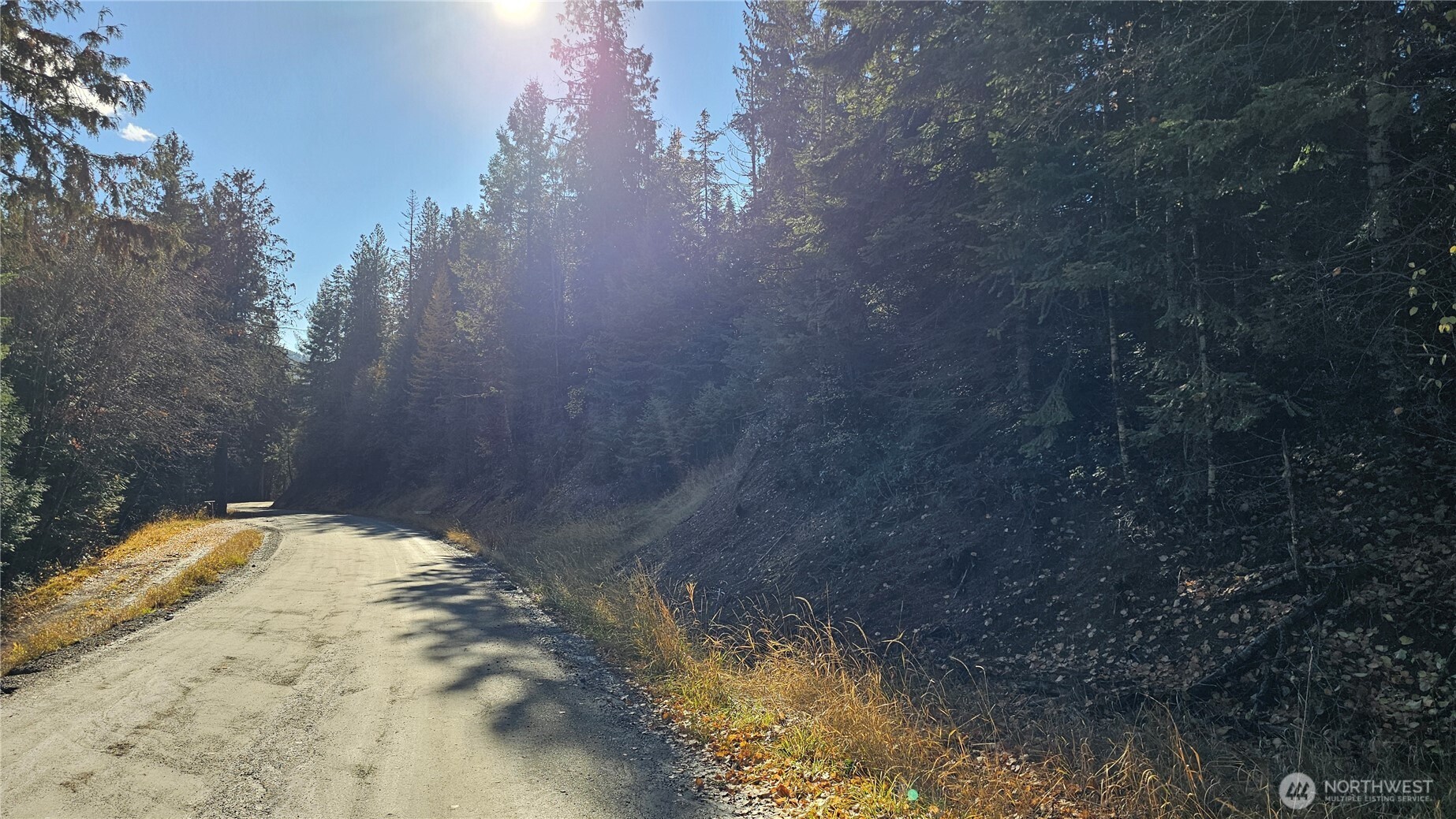 717 B Finley Gulch Road Property Photo 7