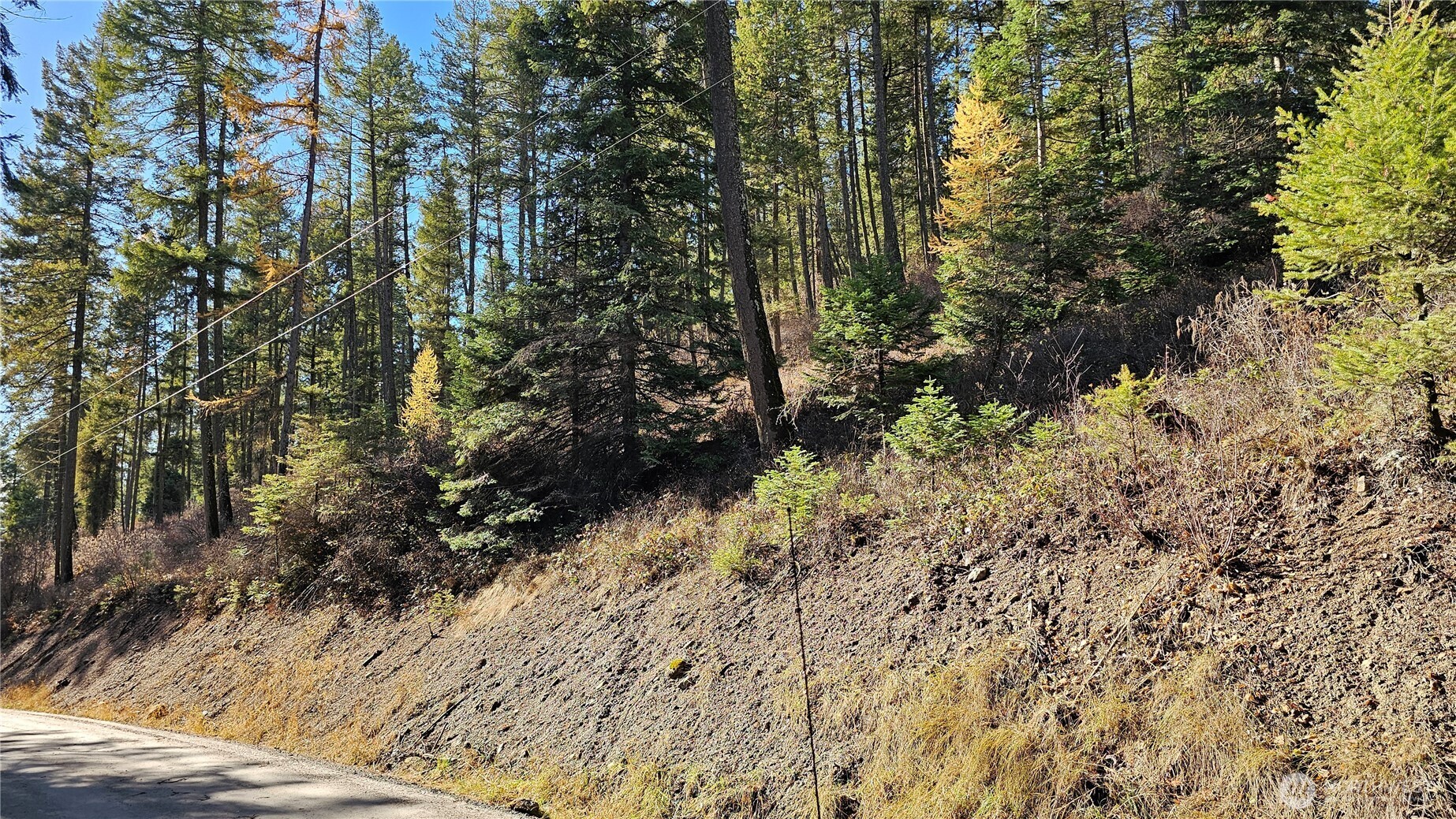 717 B Finley Gulch Road Property Photo 9