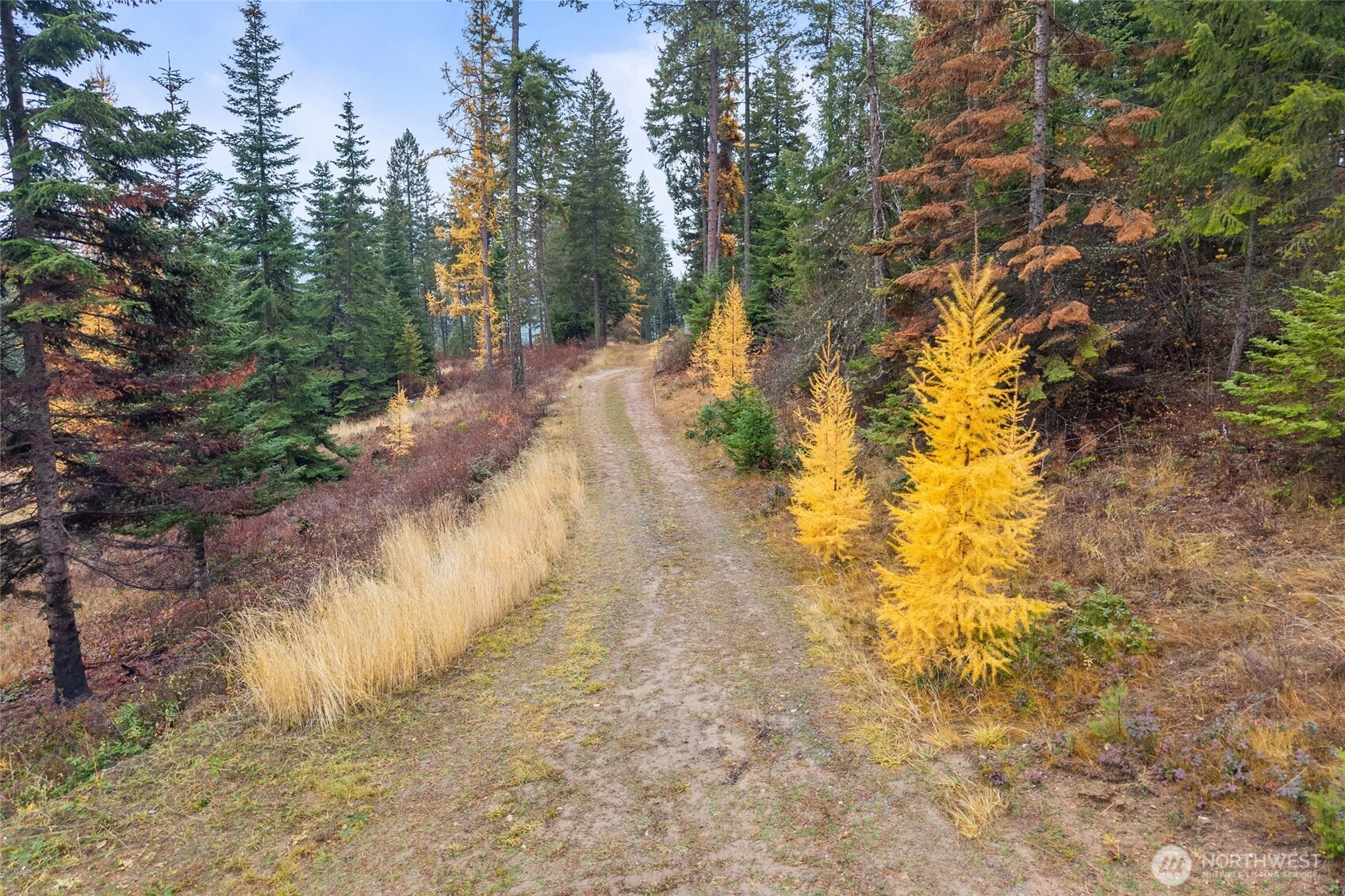 717 B Finley Gulch Road Property Photo 10