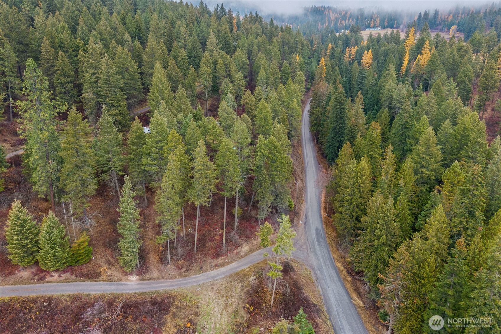 717 B Finley Gulch Road Property Photo 11
