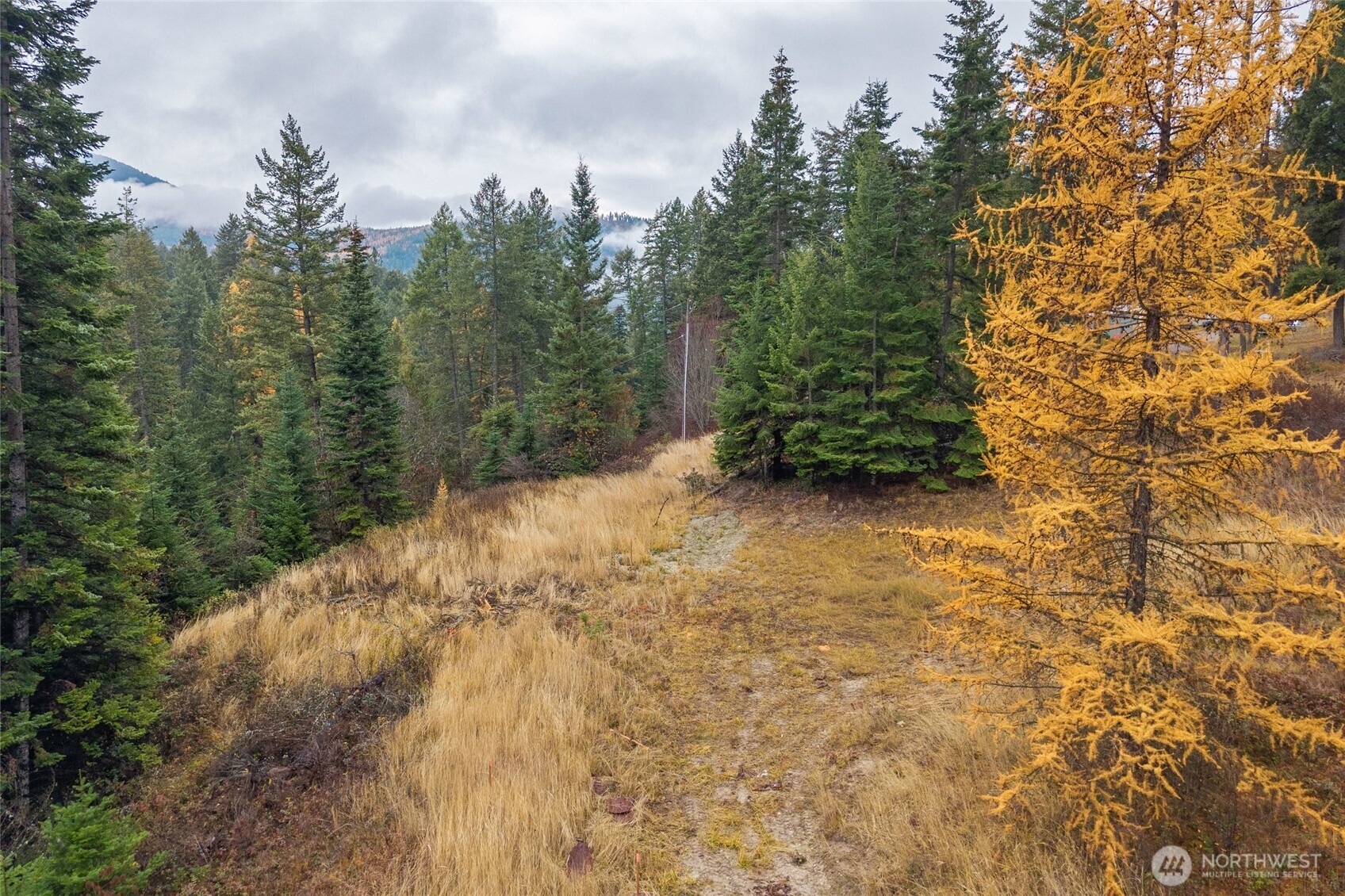 717 B Finley Gulch Road Property Photo 13