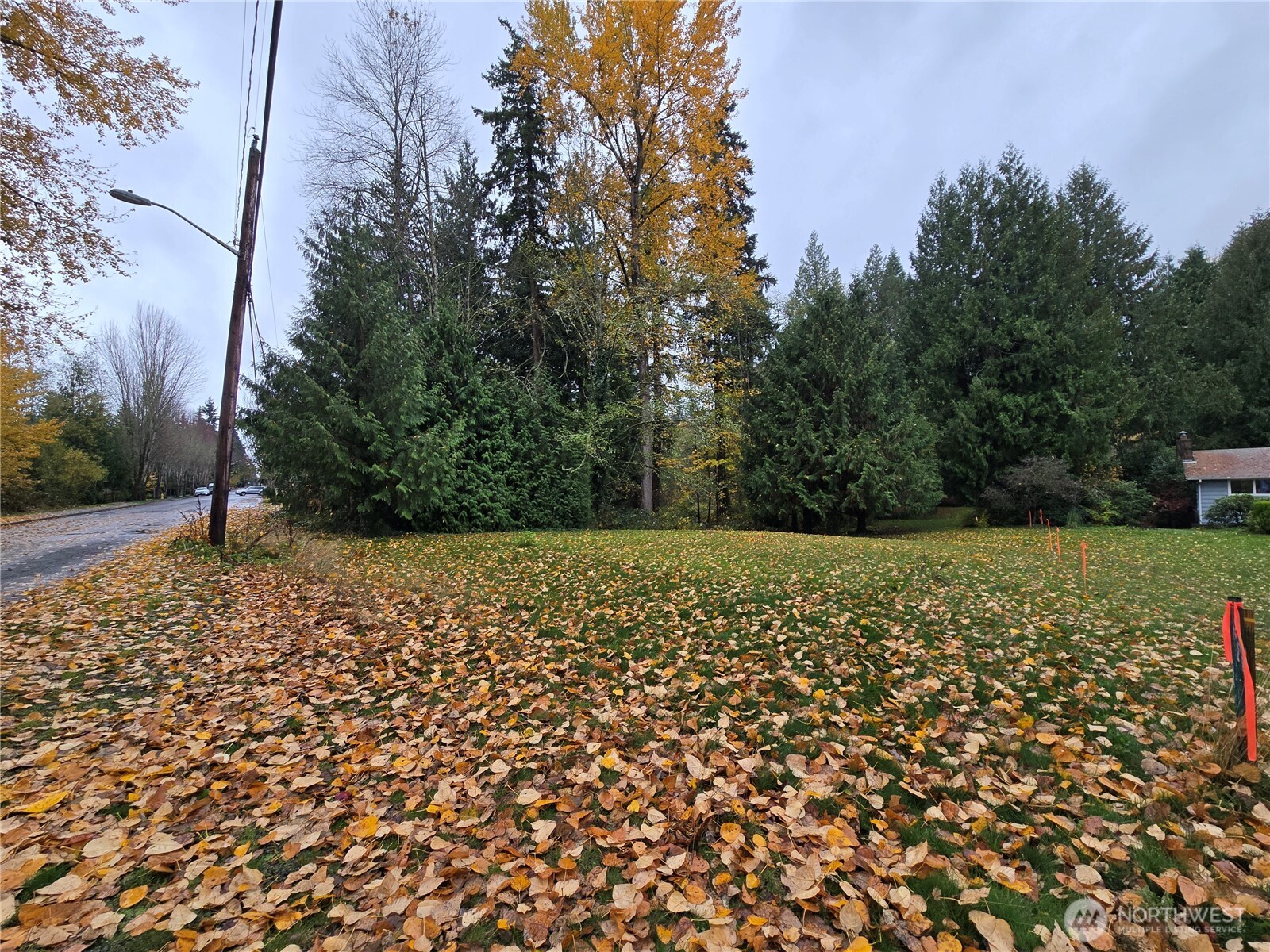 104 Xx Slater Avenue Property Photo 4