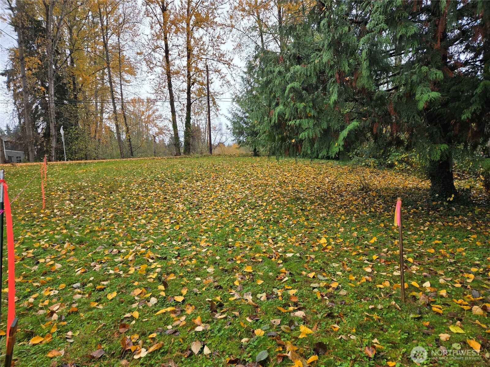104 Xx Slater Avenue Property Photo 5