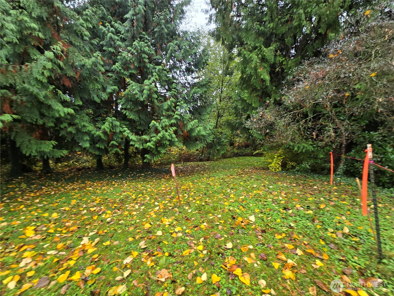 104 Xx Slater Avenue Property Photo 6