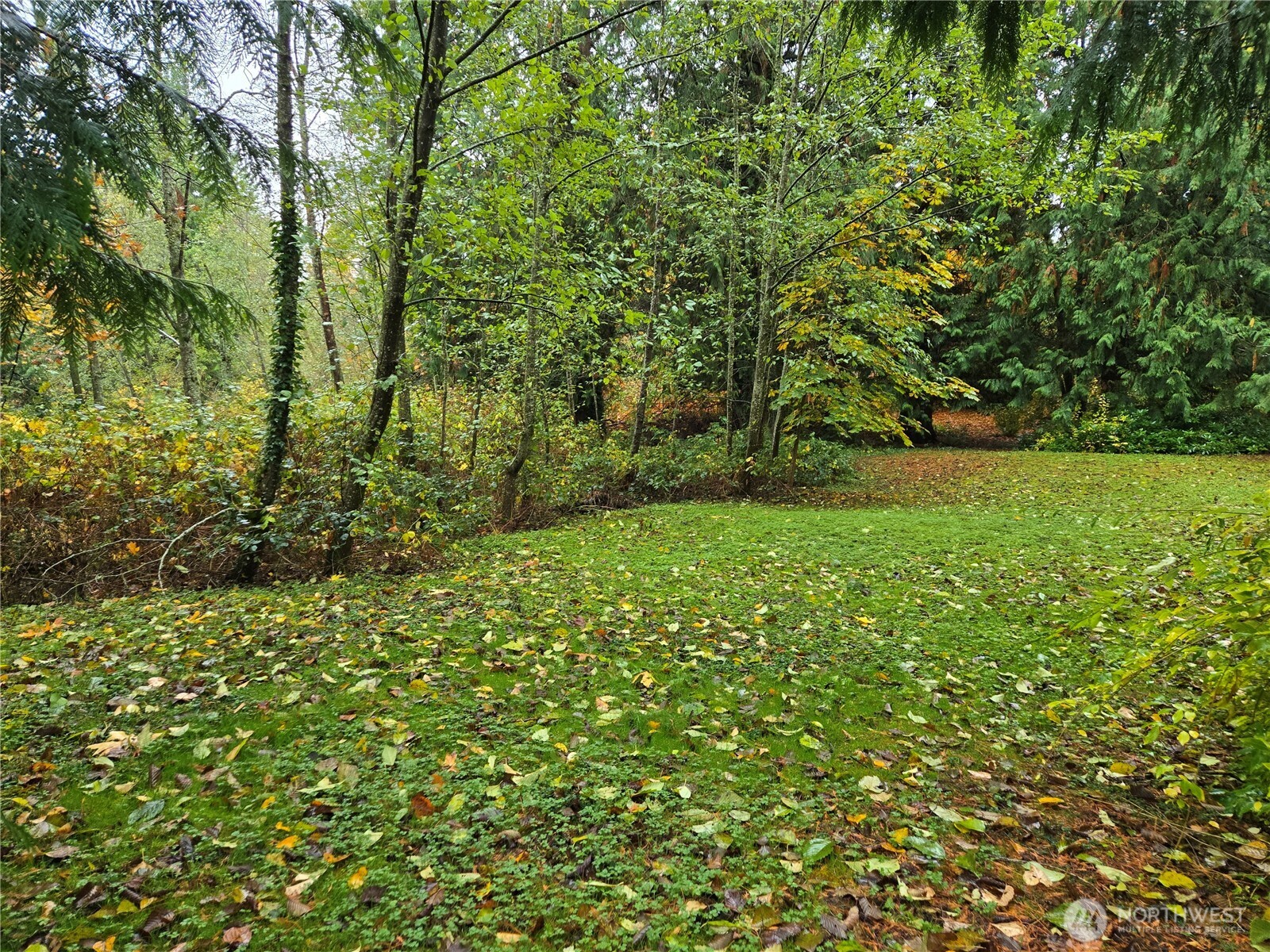 104 Xx Slater Avenue Property Photo 7