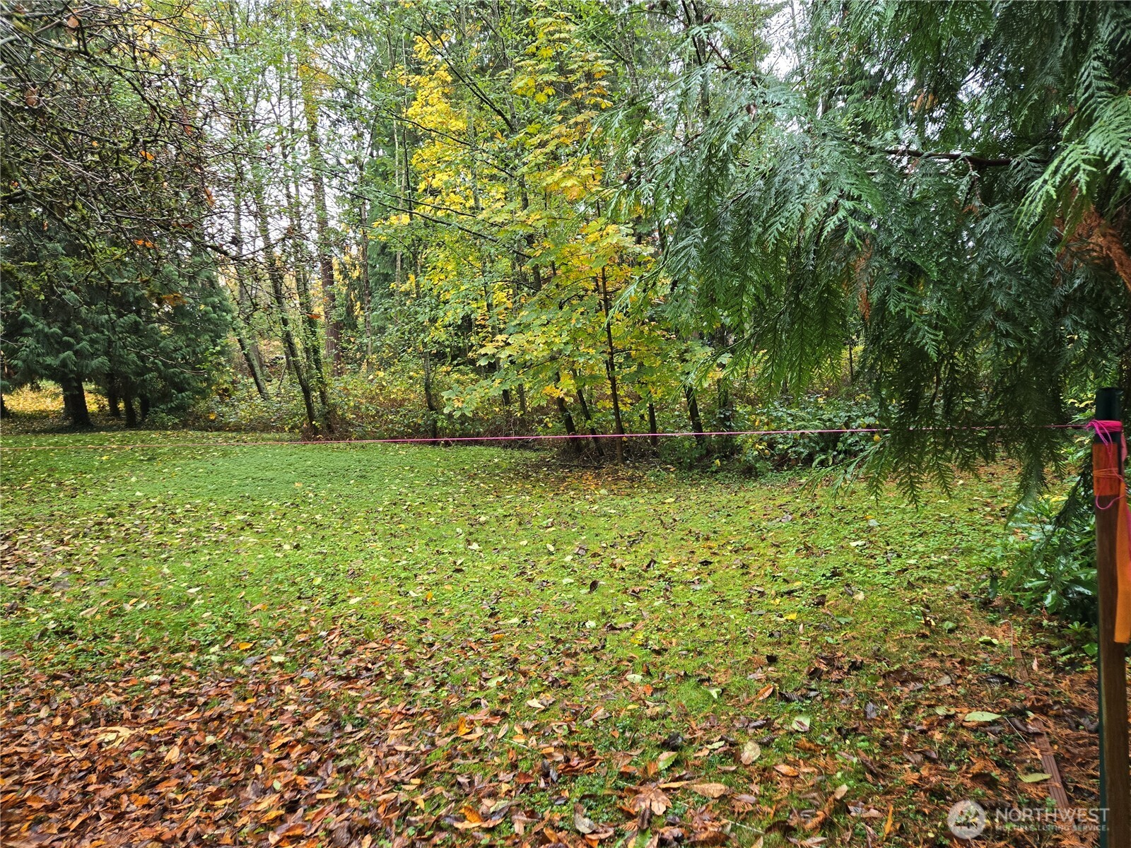 104 Xx Slater Avenue Property Photo 8