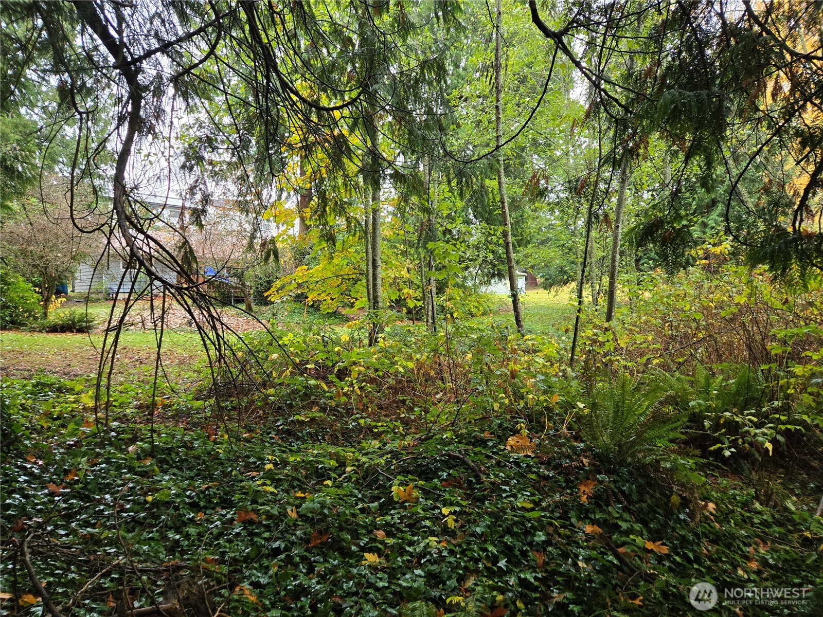 104 Xx Slater Avenue Property Photo 11
