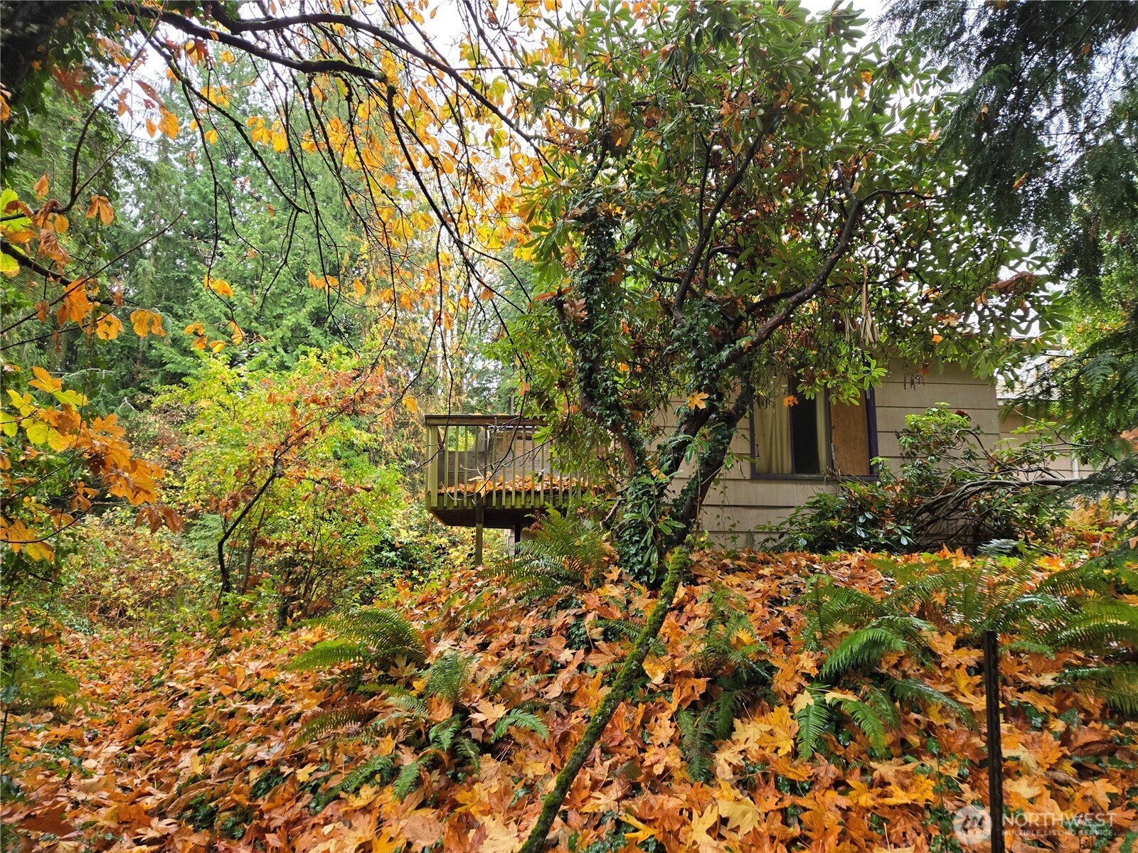 10415 Slater Avenue Property Photo 15