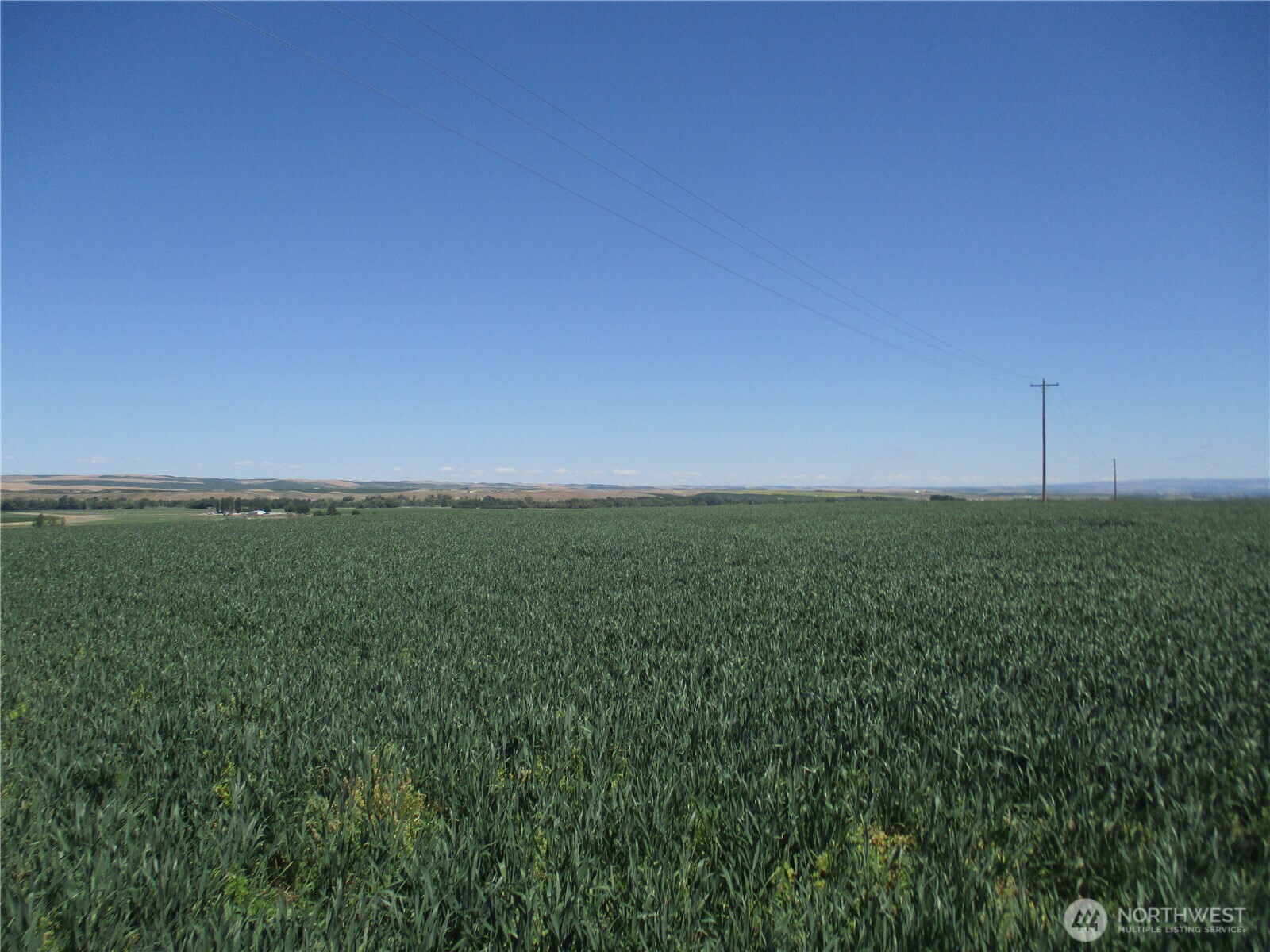 4285 Detour Road Property Photo 2