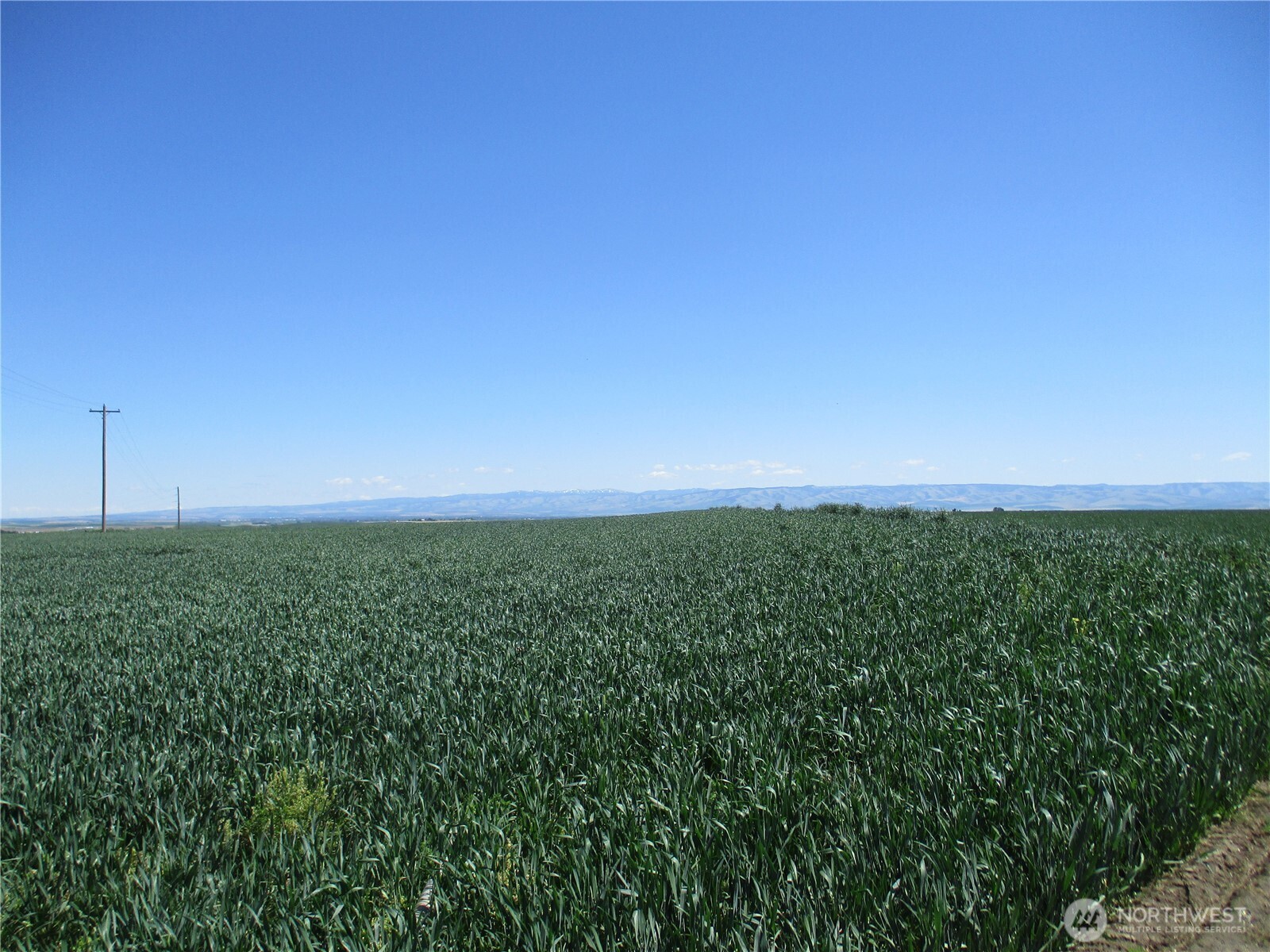 4285 Detour Road Property Photo 3