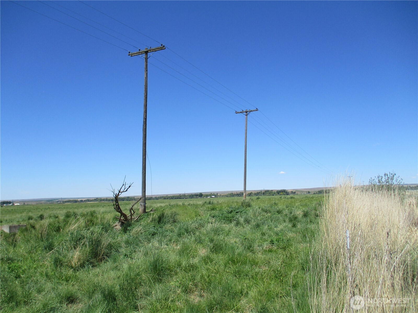 4285 Detour Road Property Photo 5