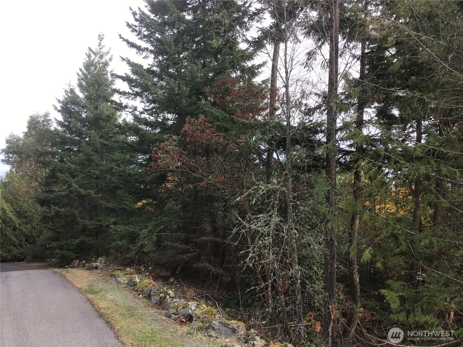 11939 New Morning Drive Property Photo 29