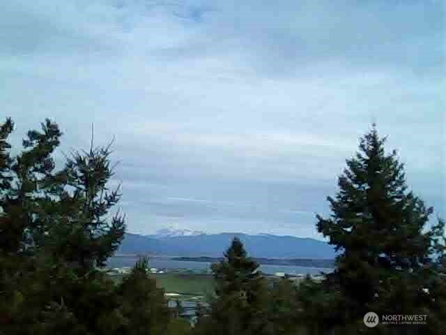 11939 New Morning Drive Property Photo 33