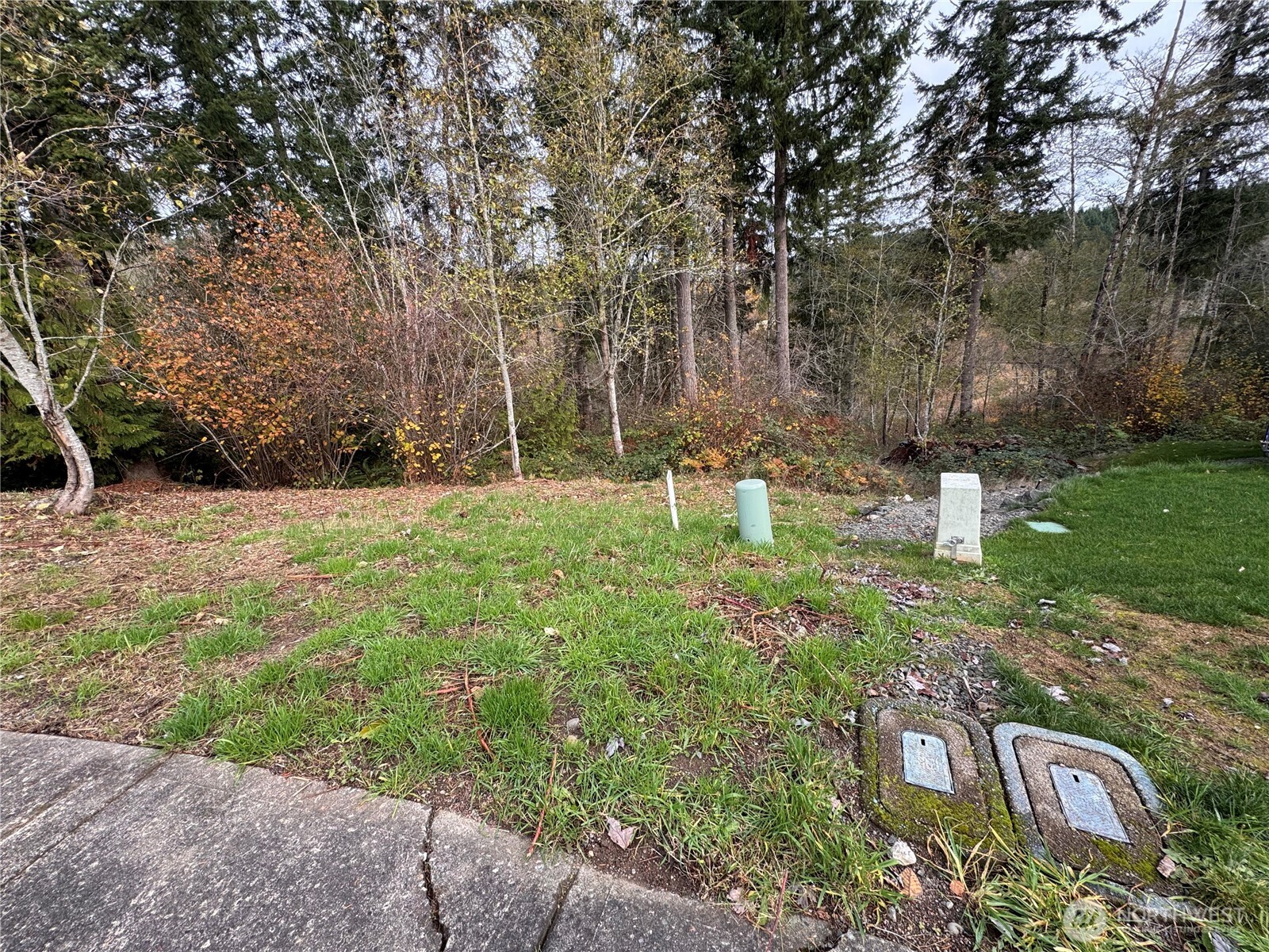 1618 Maple Valley Drive Property Photo 3