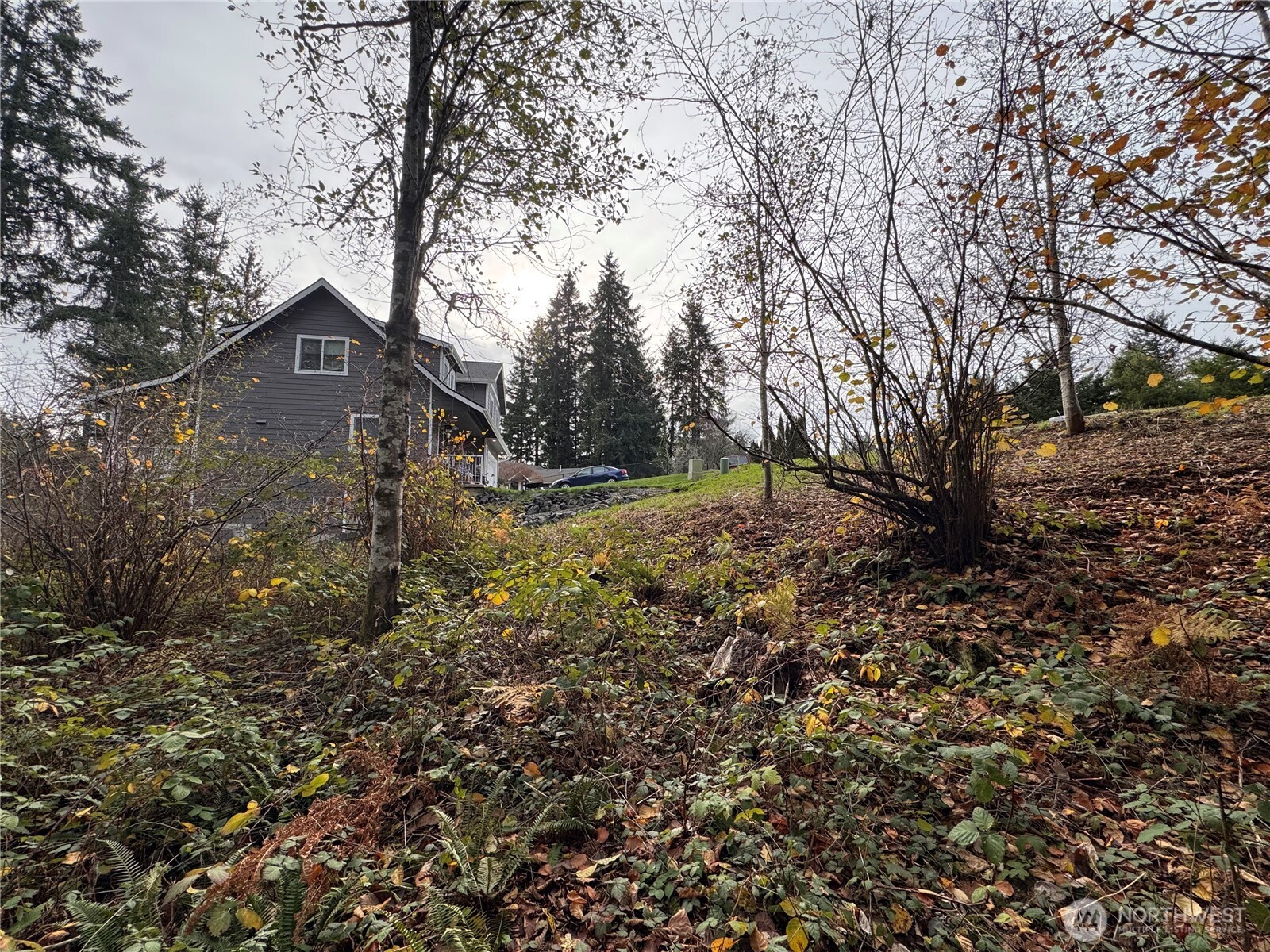 1618 Maple Valley Drive Property Photo 4