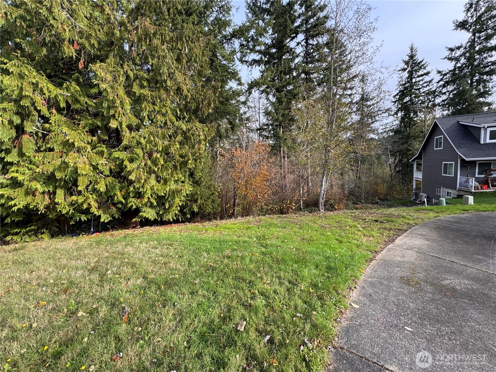 1618 Maple Valley Drive Property Photo 9