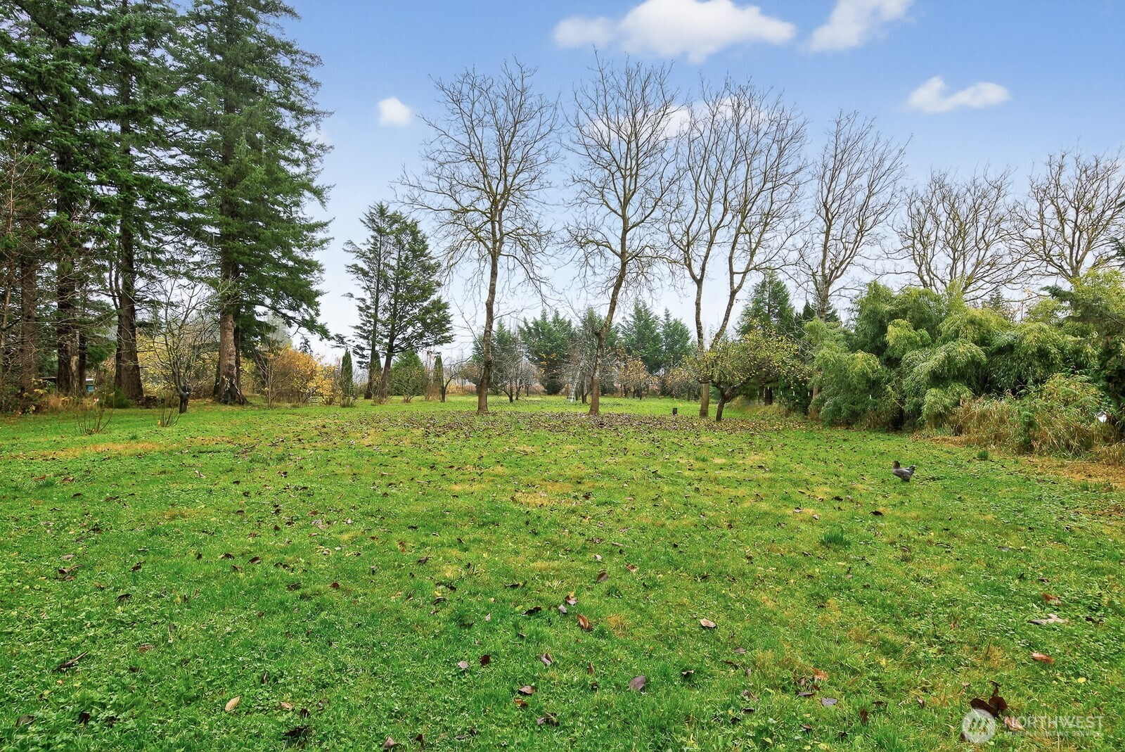 7554 Nooksack Rd Property Photo 34