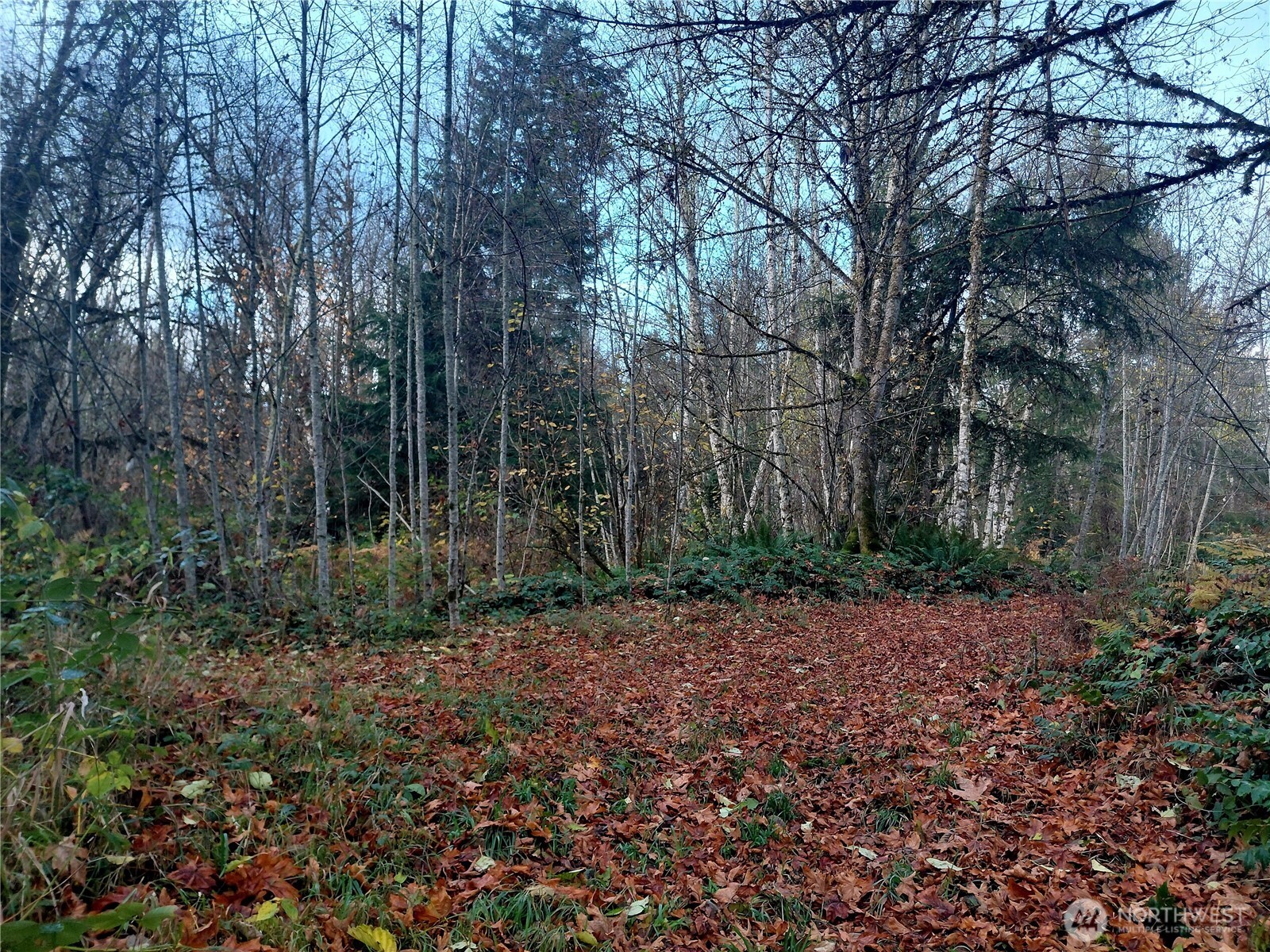 0 Lot 9 Old Barn Road Property Photo 2