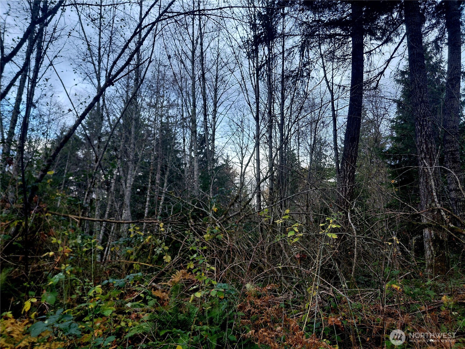 0 Lot 9 Old Barn Road Property Photo 5