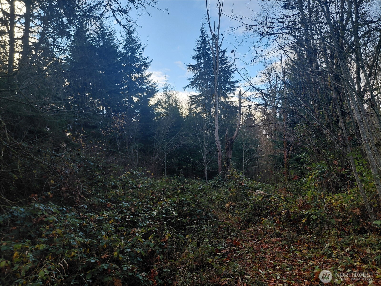 0 Lot 9 Old Barn Road Property Photo 6