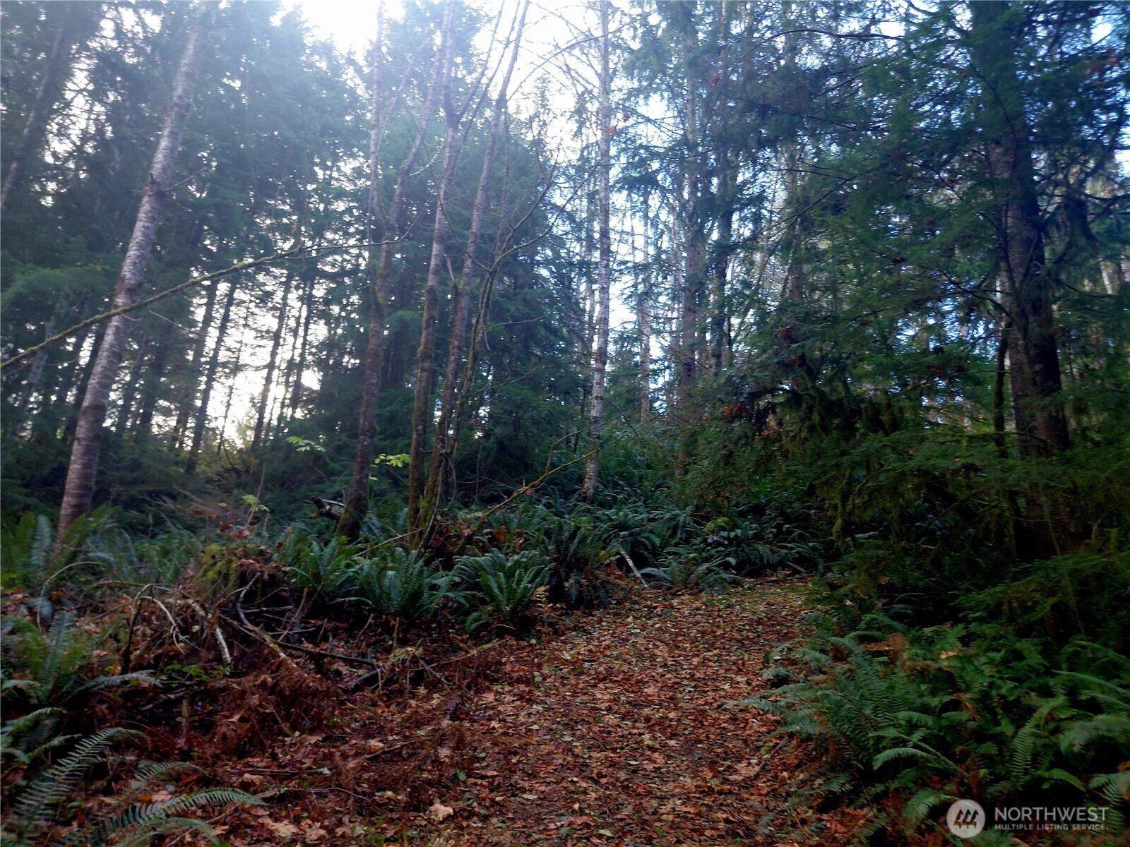 0 Lot 9 Old Barn Road Property Photo 7