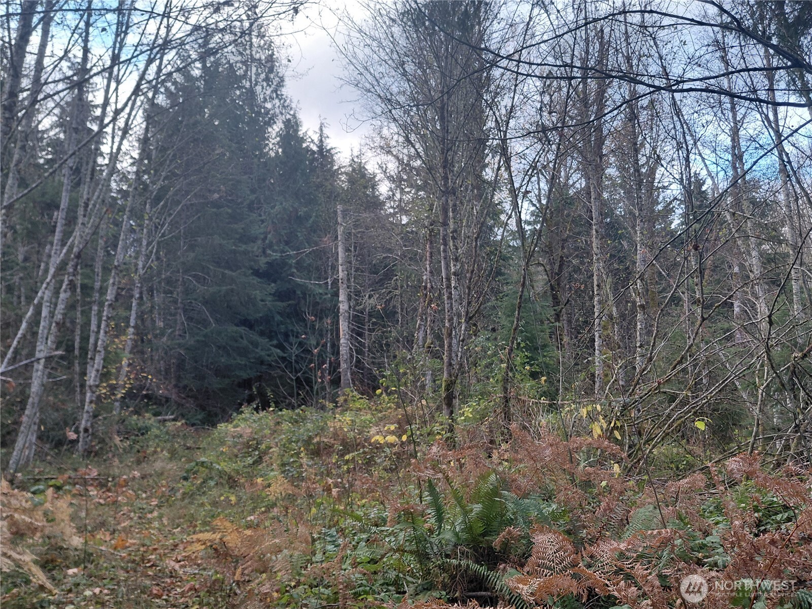 0 Lot 9 Old Barn Road Property Photo 8