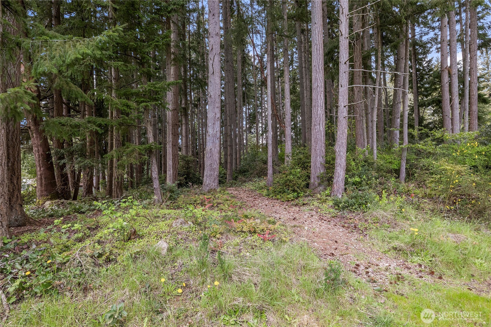 4494 Se Mile Hill Drive Property Photo 12
