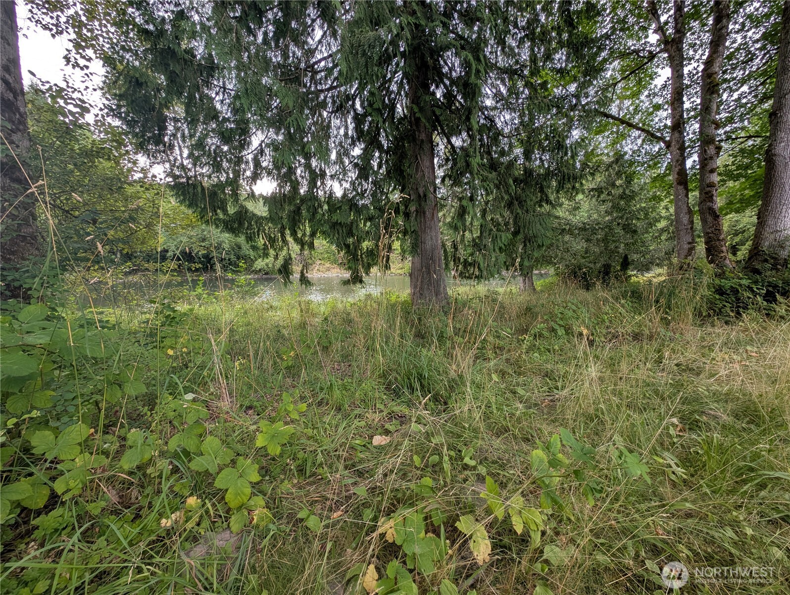 0 Trout Farm Road Property Photo 8