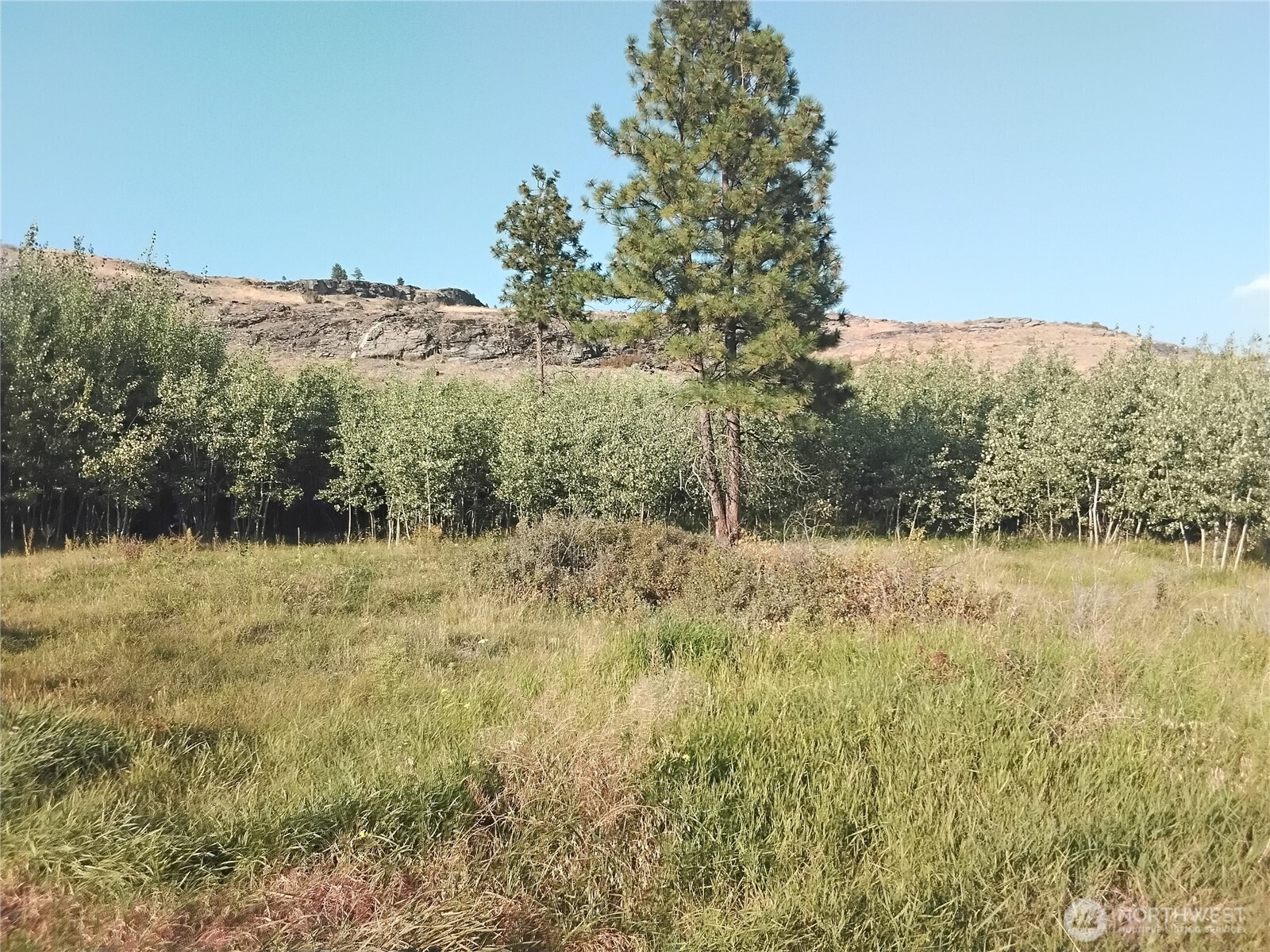 4 Painted Rock Road Property Photo 1