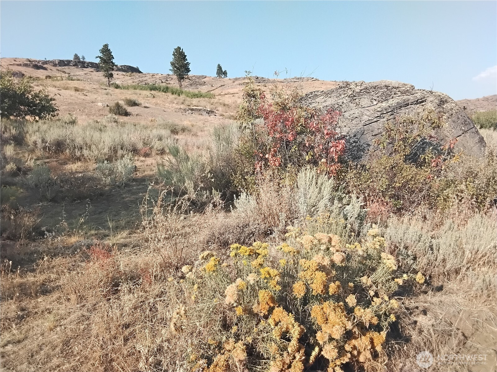 4 Painted Rock Road Property Photo 5