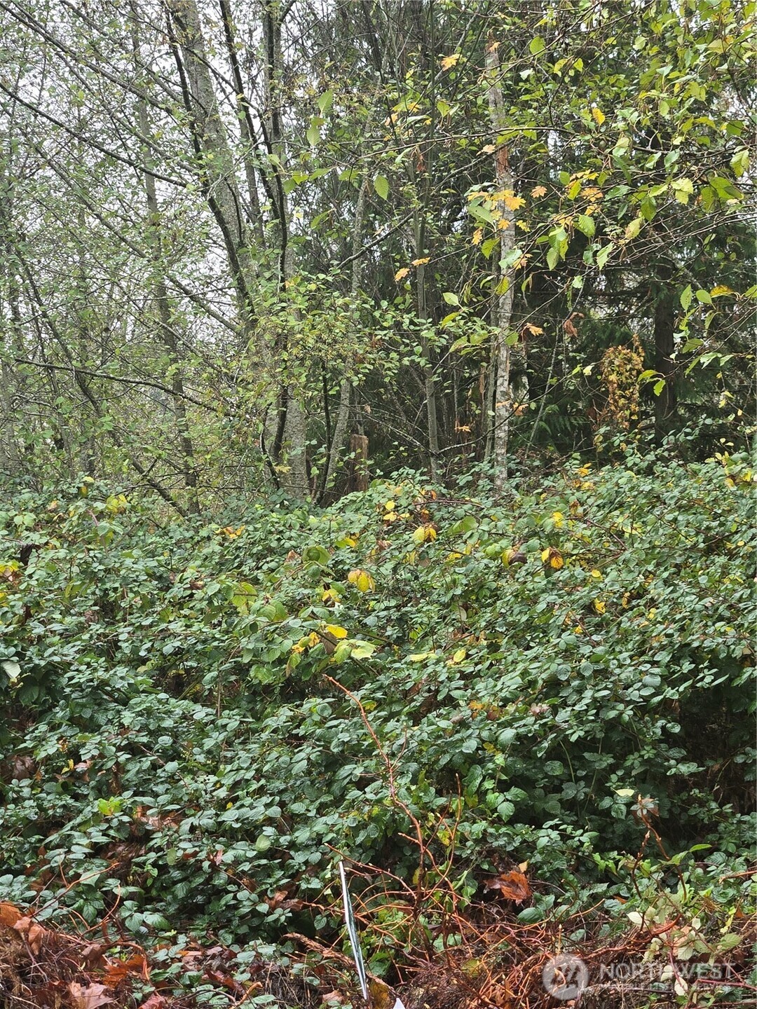 4 Se Sinclair View Drive Property Photo 3
