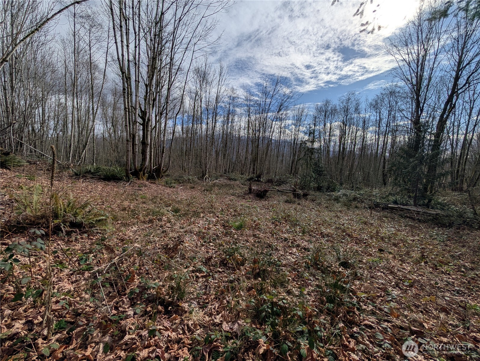 0 132nd Street Property Photo 8