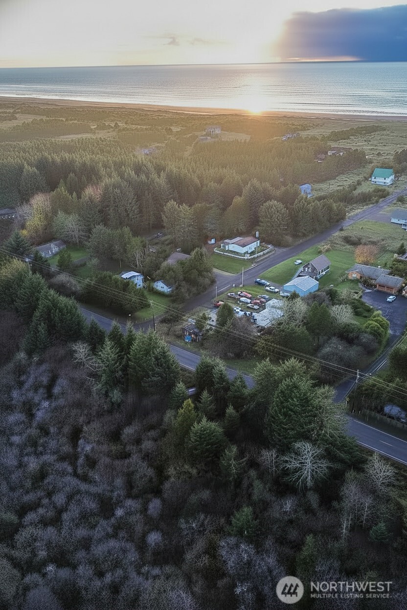 0 Pacific (WA-103) Highway Property Photo 1