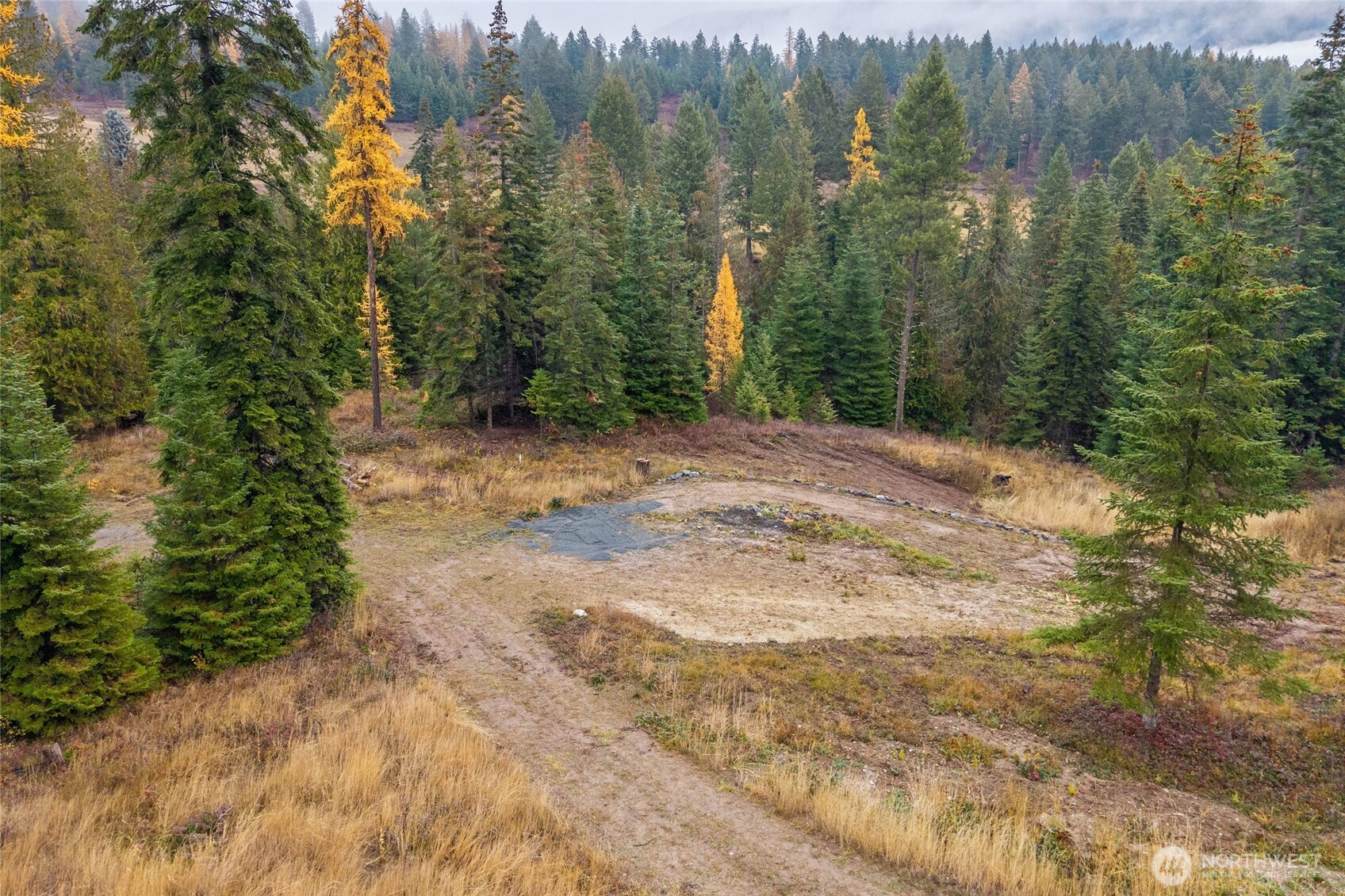 717 C Finley Gulch Rd. Property Photo 1