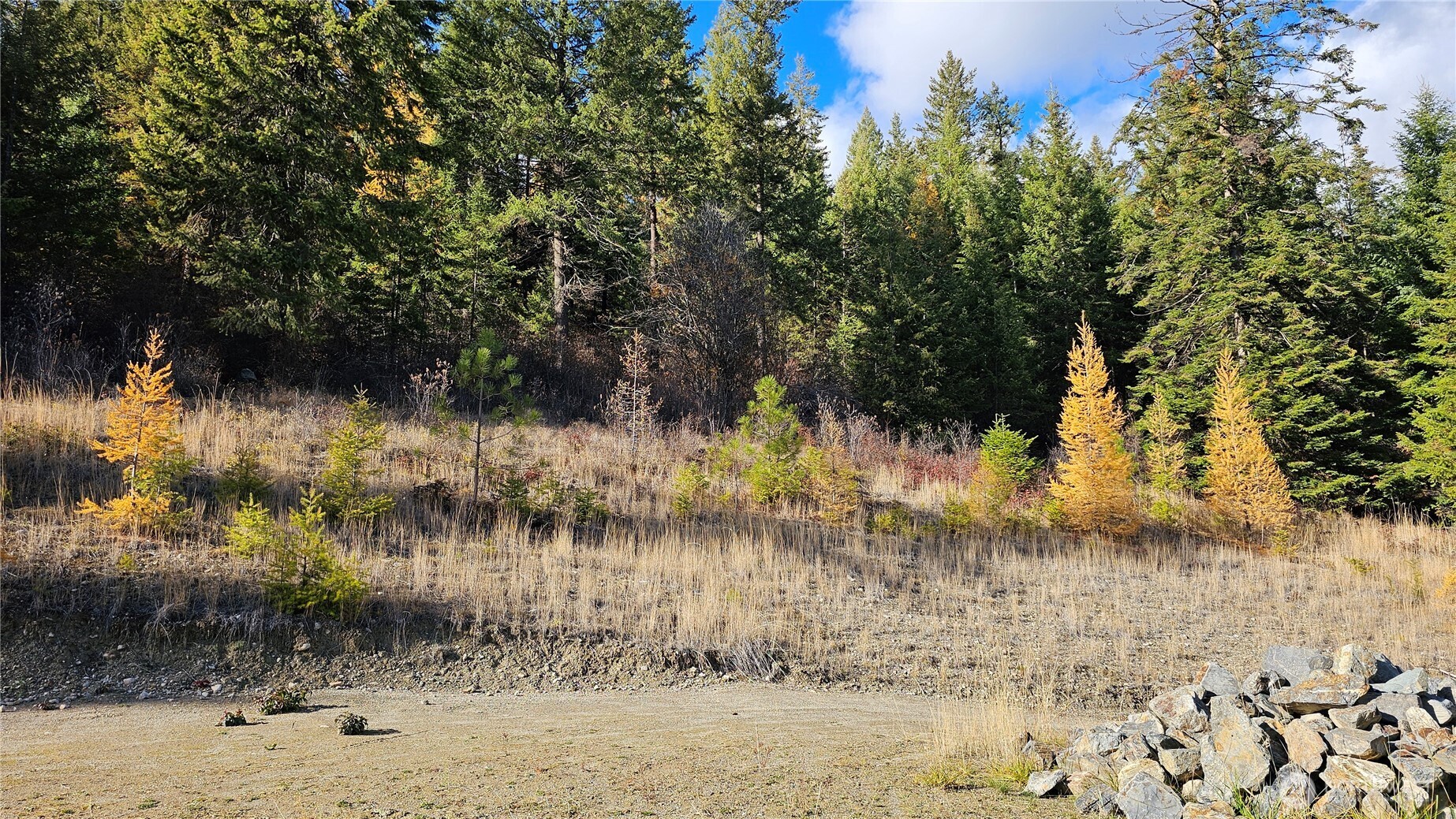 717 C Finley Gulch Rd. Property Photo 2