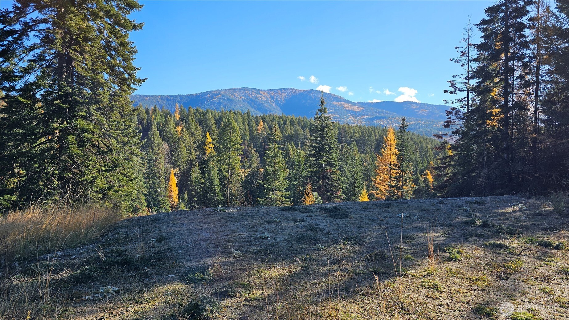717 C Finley Gulch Rd. Property Photo 3