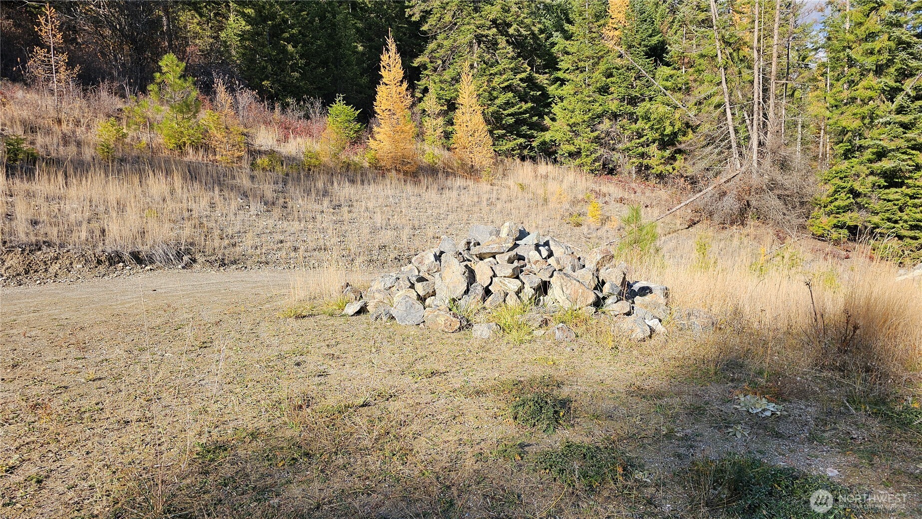 717 C Finley Gulch Rd. Property Photo 4